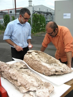 Analysis of Roman gypsum from stone coffin